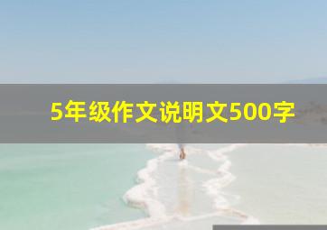 5年级作文说明文500字