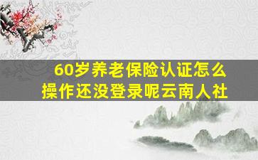 60岁养老保险认证怎么操作还没登录呢云南人社