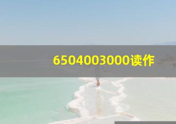 6504003000读作