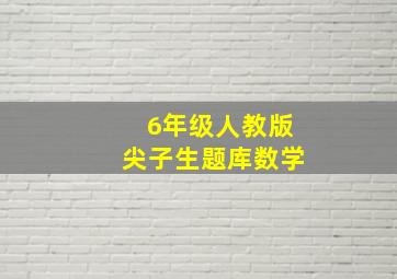 6年级人教版尖子生题库数学