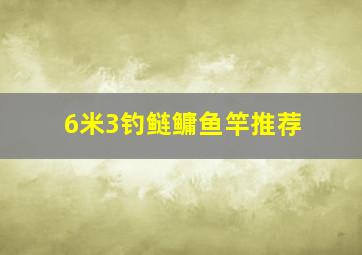 6米3钓鲢鳙鱼竿推荐