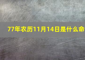 77年农历11月14日是什么命