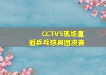 CCTV5现场直播乒乓球男团决赛