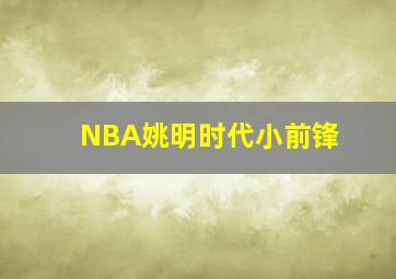 NBA姚明时代小前锋