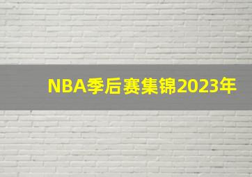 NBA季后赛集锦2023年