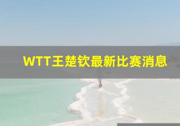 WTT王楚钦最新比赛消息