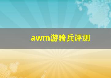 awm游骑兵评测