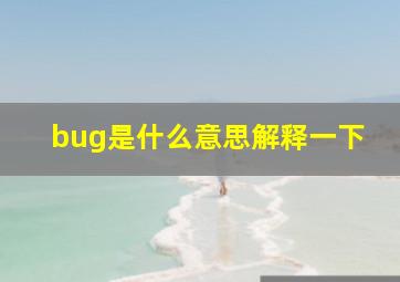 bug是什么意思解释一下