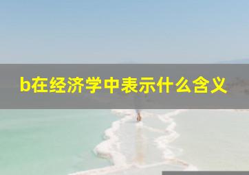 b在经济学中表示什么含义