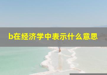 b在经济学中表示什么意思