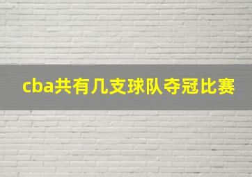 cba共有几支球队夺冠比赛