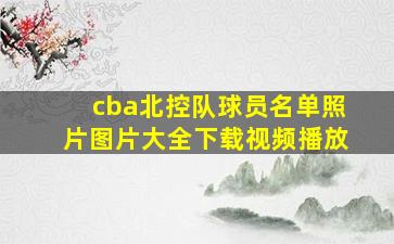 cba北控队球员名单照片图片大全下载视频播放