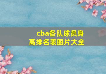 cba各队球员身高排名表图片大全