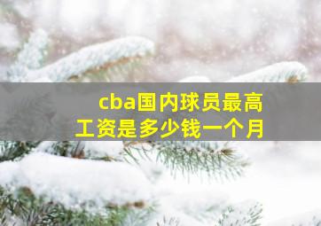 cba国内球员最高工资是多少钱一个月