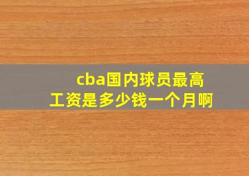 cba国内球员最高工资是多少钱一个月啊