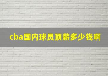 cba国内球员顶薪多少钱啊