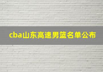 cba山东高速男篮名单公布