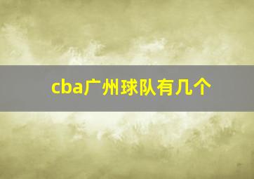 cba广州球队有几个