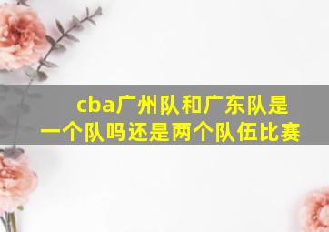 cba广州队和广东队是一个队吗还是两个队伍比赛