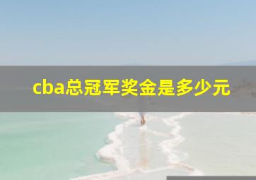 cba总冠军奖金是多少元