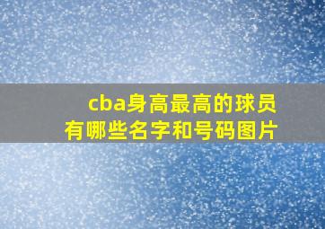 cba身高最高的球员有哪些名字和号码图片