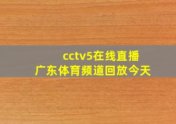 cctv5在线直播广东体育频道回放今天