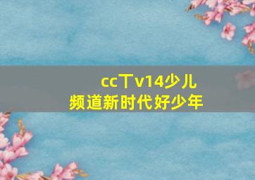 cc丅v14少儿频道新时代好少年