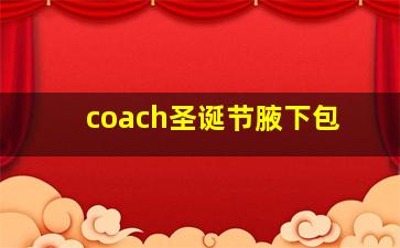 coach圣诞节腋下包