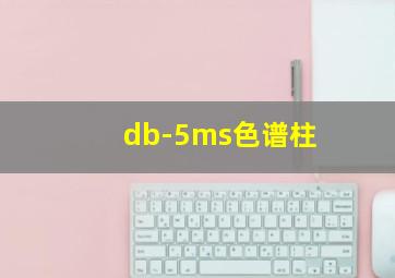 db-5ms色谱柱