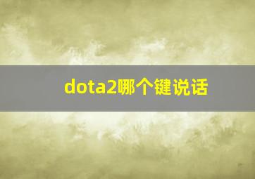 dota2哪个键说话