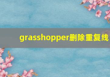 grasshopper删除重复线