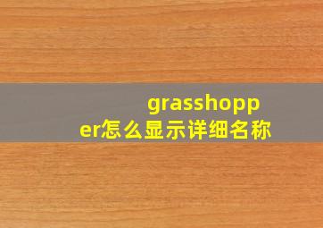 grasshopper怎么显示详细名称