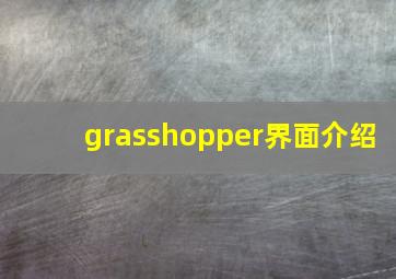 grasshopper界面介绍