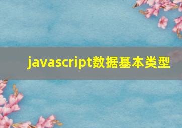 javascript数据基本类型