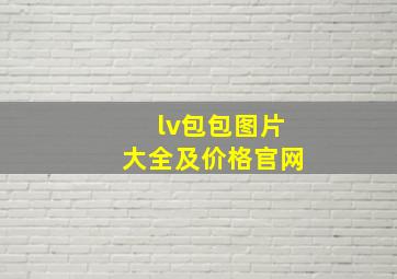 lv包包图片大全及价格官网