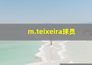 m.teixeira球员