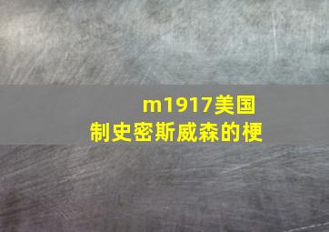 m1917美国制史密斯威森的梗