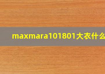 maxmara101801大衣什么材质