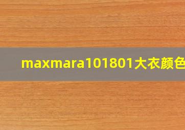 maxmara101801大衣颜色选择