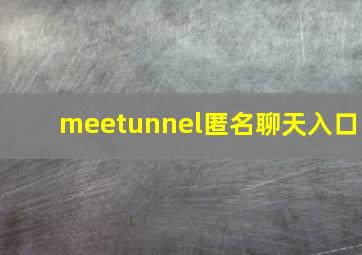 meetunnel匿名聊天入口