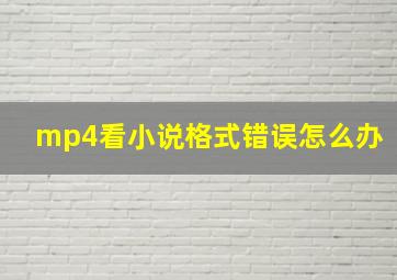 mp4看小说格式错误怎么办