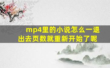 mp4里的小说怎么一退出去页数就重新开始了呢