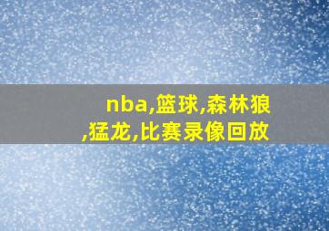 nba,篮球,森林狼,猛龙,比赛录像回放