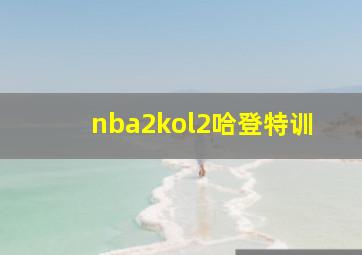 nba2kol2哈登特训