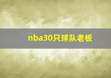 nba30只球队老板