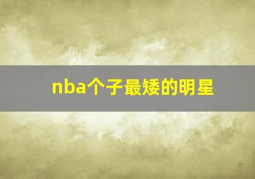 nba个子最矮的明星