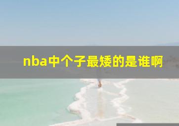 nba中个子最矮的是谁啊