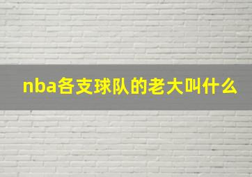 nba各支球队的老大叫什么