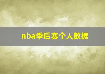 nba季后赛个人数据