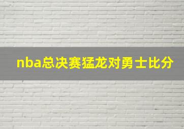 nba总决赛猛龙对勇士比分